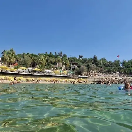 Holiday In *